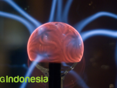 Dunia Meta, Homo Codingensis, dan Neuron Holoverse