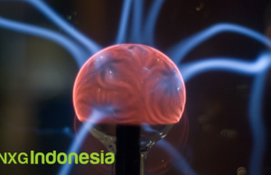 Dunia Meta, Homo Codingensis, dan Neuron Holoverse