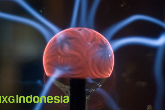 Dunia Meta, Homo Codingensis, dan Neuron Holoverse