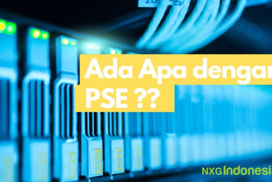 Ada Apa dengan PSE Lingkup Privat ?