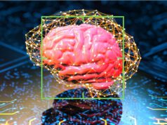 Mencoba Menelisik Konsep Kesadaran Quantum