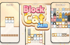Cat Block Jam – SU