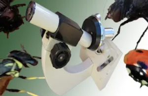 Microscope – SU