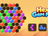 Hex Gem Fit – SU
