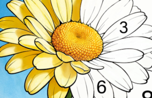 Color Oasis – Color by Number – SU