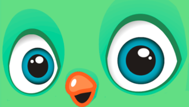 Web Banner nxg - 2026-10-15T091035.234