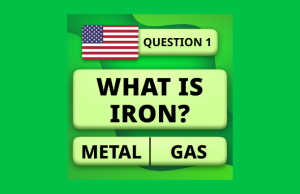 QuizzLand. Quiz & Trivia game – SU