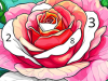 Color by Number for Adults – R12+
