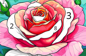 Color by Number for Adults – R12+