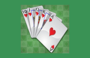 Bridge V+, bridge card game – R12+