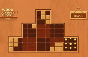 Block Puzzle-Wood Sudoku Game – SU