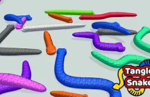 Tangled Snakes – SU